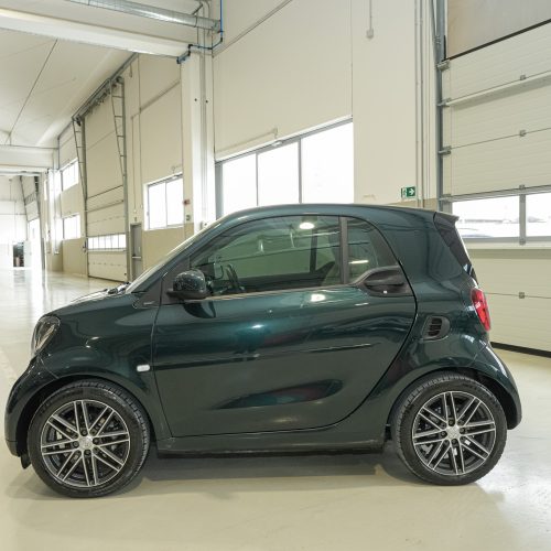 Smart 0113